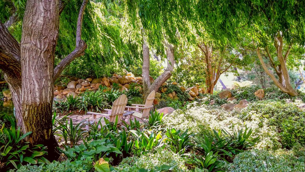 Irrigation Cape Town